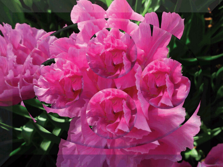 Digital Arts titled "Garden View 17" by Ken Grzesik, Original Artwork, 2D Digital Work