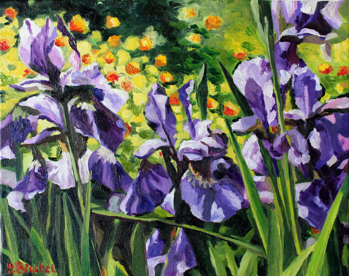 Peinture intitulée "Iris" par Pascal Brachet, Œuvre d'art originale, Huile