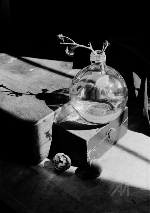 Fotografie getiteld "Still life with a w…" door Alexey Sobolev, Origineel Kunstwerk, Film fotografie