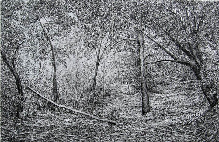 Drawing titled "Chênes et pins III/…" by Isabelle Stagg, Original Artwork, Ink