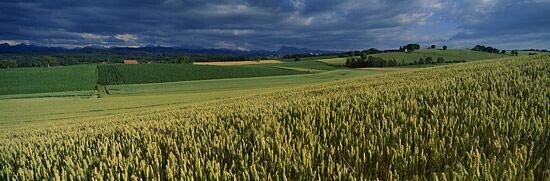 Photography titled "Carressé par le vent" by Artvision Claude Bossel, Original Artwork