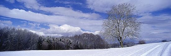 Photography titled "Hiver je t'aime" by Artvision Claude Bossel, Original Artwork
