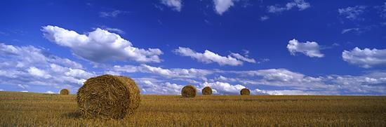 Photography titled "Moisson d'été" by Artvision Claude Bossel, Original Artwork
