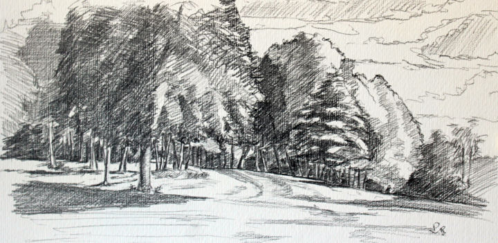 Dessin intitulée "Le parc" par Pascal Brachet, Œuvre d'art originale, Crayon