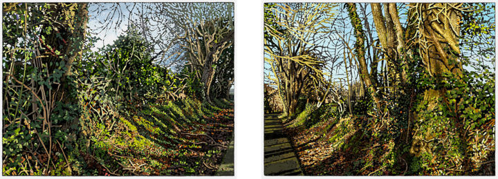 Arts numériques intitulée "Chemin qui ne mène…" par François Lapouge, Œuvre d'art originale, Travail numérique 2D