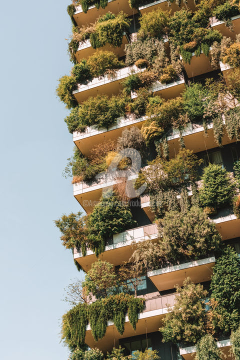 Photography titled "Modern Sustainable…" by Radu Bercan, Original Artwork, Digital Photography