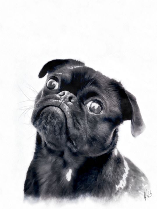 Digitale Kunst getiteld "Sad, Sad Little Dog…" door Time For Some Beauty, Origineel Kunstwerk, 2D Digital Work