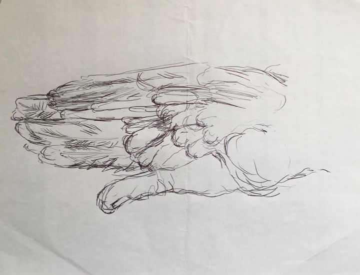 Drawing titled "La main ailée" by Olga Richir, Original Artwork, Ballpoint pen