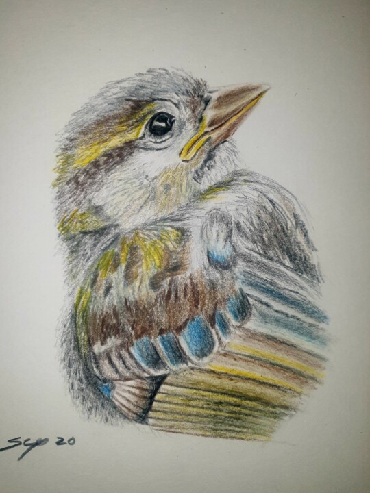 Little bird 绘画, 11.4x8.3 in