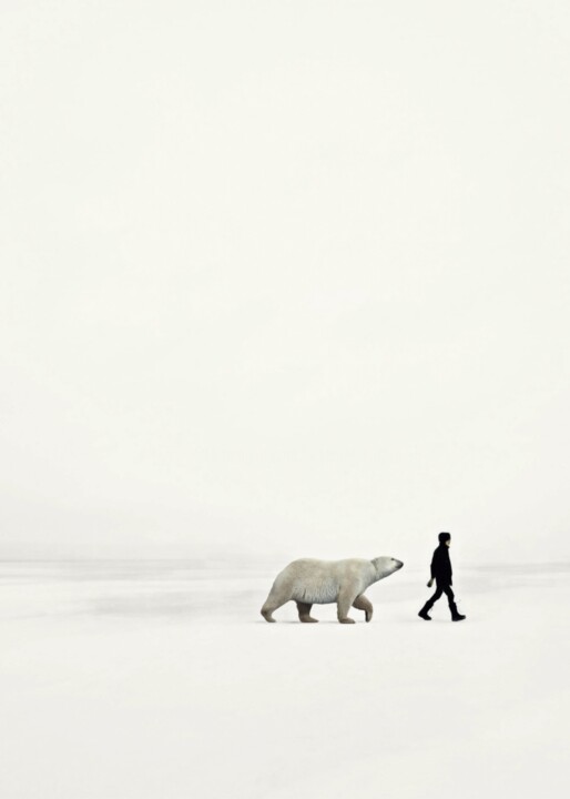 Arctic 数字艺术, 39.4x29.5 in