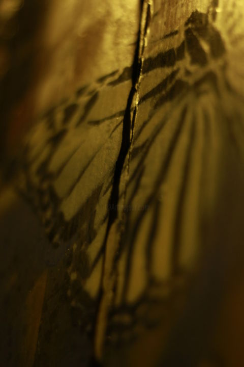 Photography titled "Suivez le papillon.…" by Asneva, Original Artwork, Non Manipulated Photography