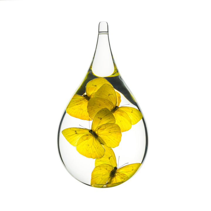 Sculptuur getiteld "Larme - Papillons" door Benoît Dutour, Origineel Kunstwerk, Glas