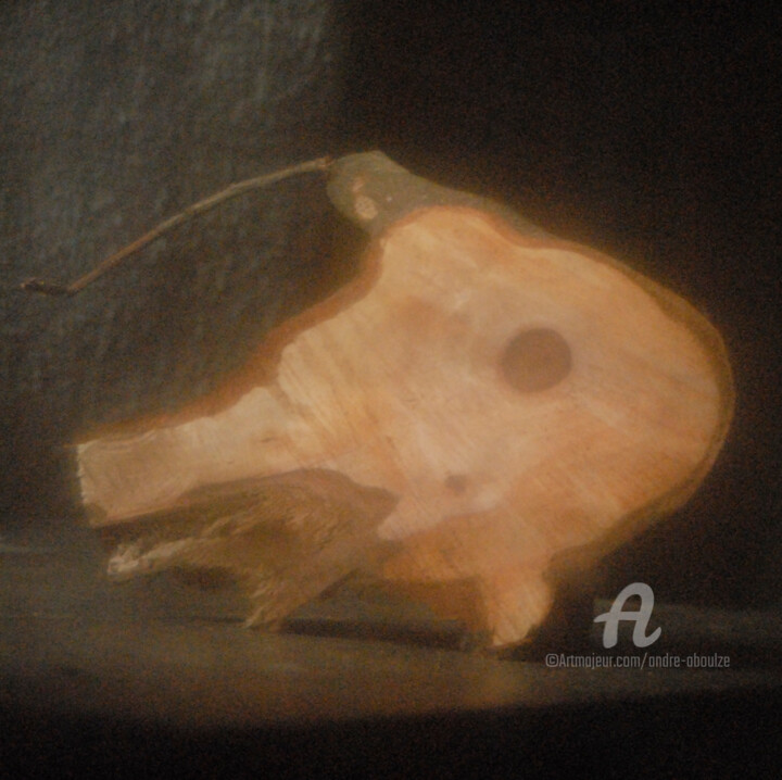 Photography titled "Le poisson - Nature…" by André Boulze, Original Artwork, Digital Photography