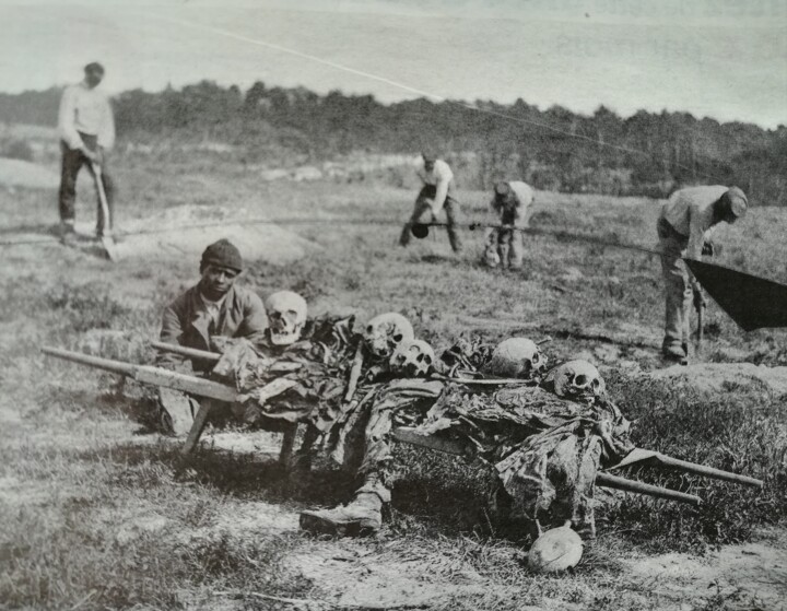 Why cold harbor 摄影
