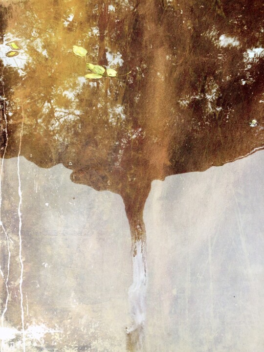 Photographie intitulée "Reflets dans une fl…" par Claudine Ziga, Œuvre d'art originale, Photographie numérique