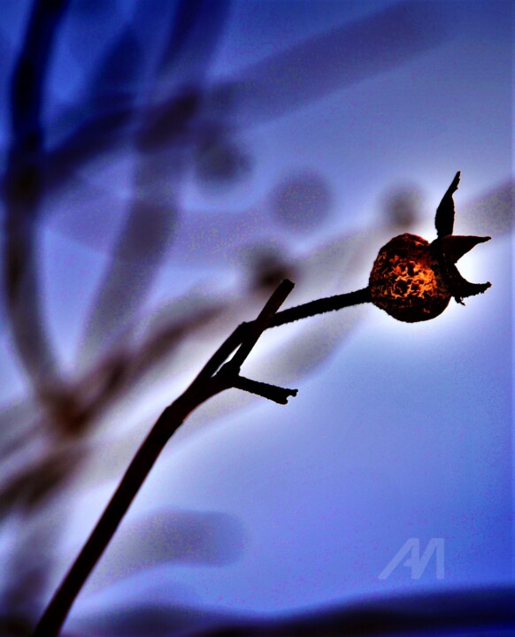 Fotografie getiteld "EVENING" door Elina Geyer, Origineel Kunstwerk, Digitale fotografie