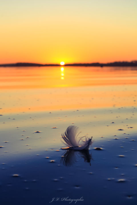 Photography titled "Plume" by J. V. Photographie, Original Artwork, Digital Photography