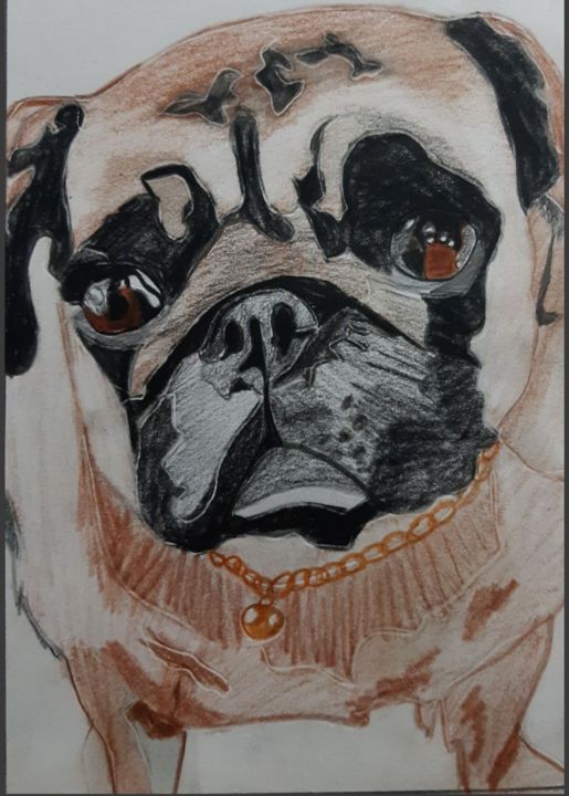 Tekening getiteld "Dog portraits" door Subhalakshmi Sureshkumar, Origineel Kunstwerk, Potlood