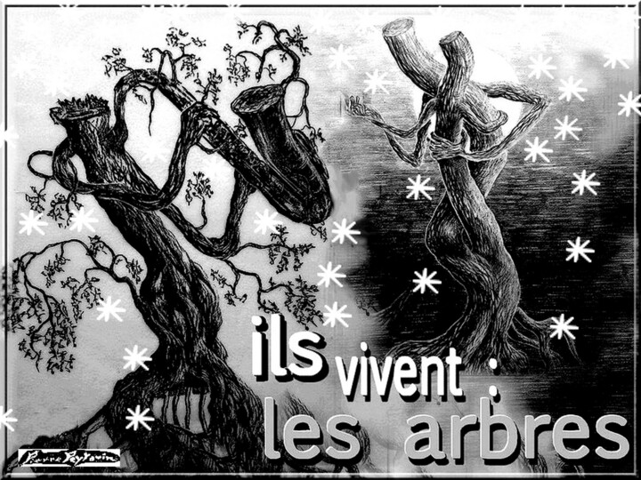 la nuit en föret