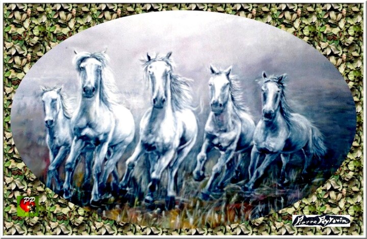 CHEVAUX DE CAMARGUE
