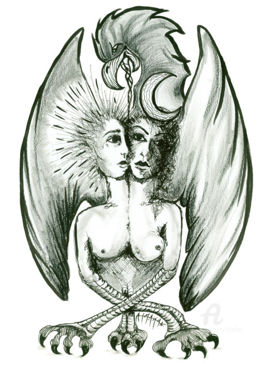 L'hermaphrodite 图画, 11.7x8.3 in