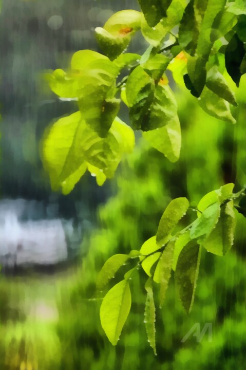 Fotografie getiteld "RAIN" door Elina Geyer, Origineel Kunstwerk, Digitaal Schilderwerk