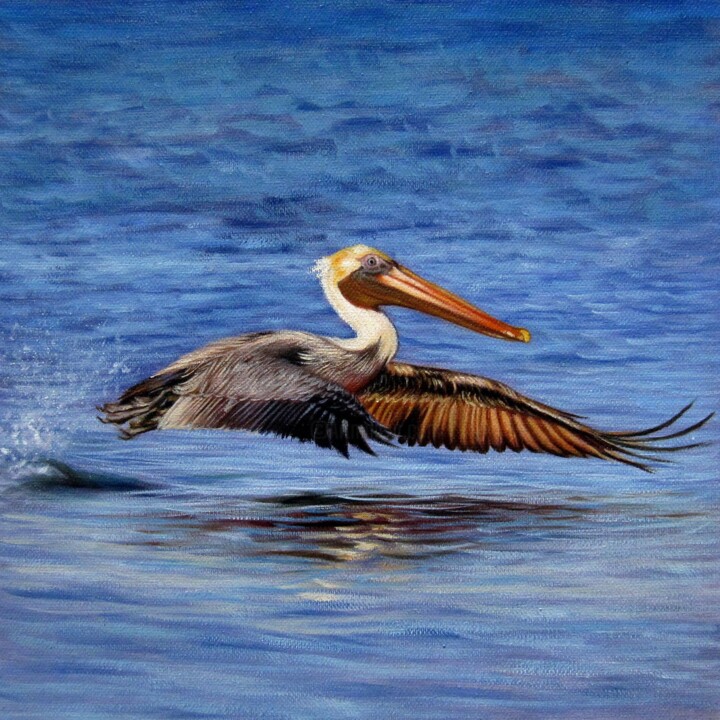 Pelican 002D 绘画, 15.8x15.8 in