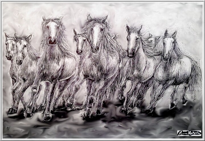 CHEVAUX