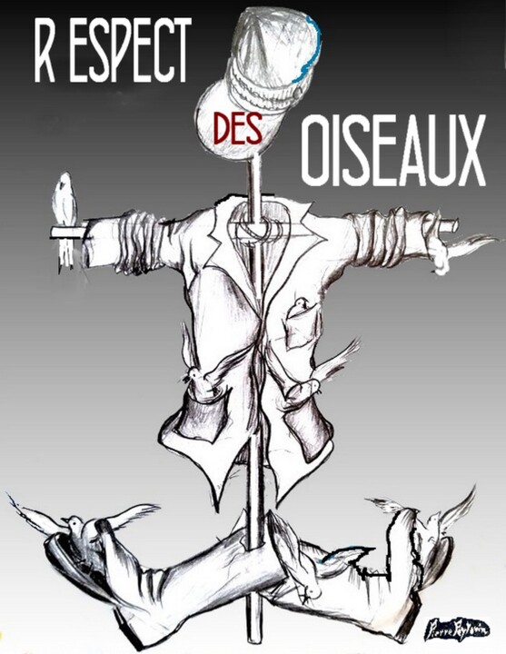 Respect des oiseaux