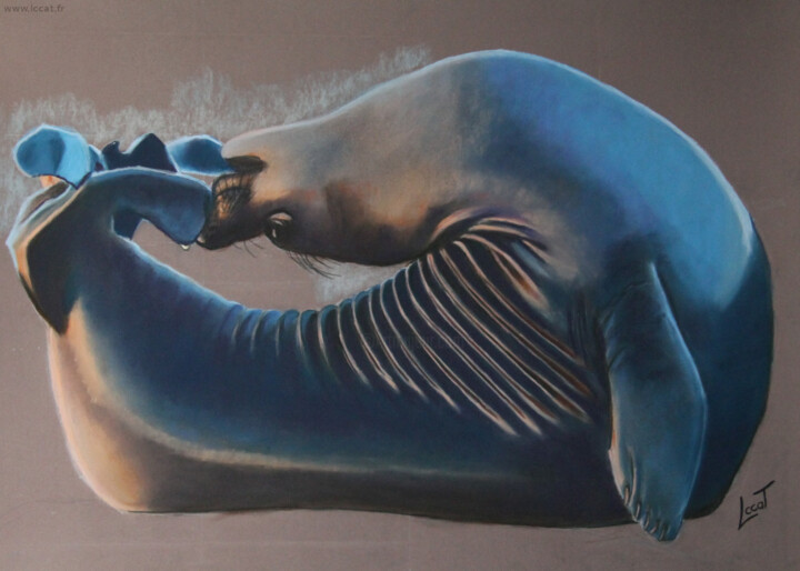 Peinture intitulée "Le phoque" par Catherine Costet (Lccat), Œuvre d'art originale, Pastel