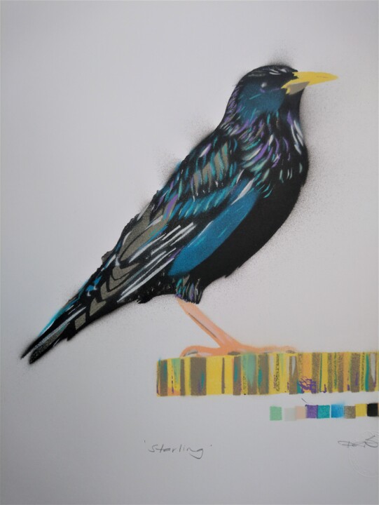 Painting titled "'Starling' - Origin…" by Dylan Bell (Bells Galleries), Original Artwork, Spray paint