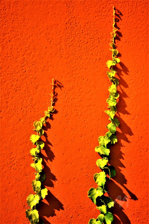 Fotografie getiteld "RED" door Elina Geyer, Origineel Kunstwerk, Digitale fotografie