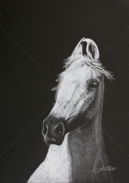 绘画,  11.7x8.3 in 