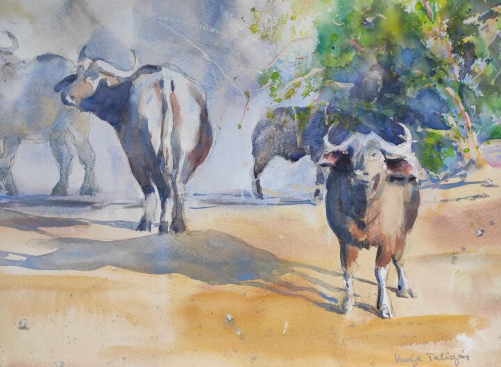 Buffalo Herd 绘画, 12x16 in