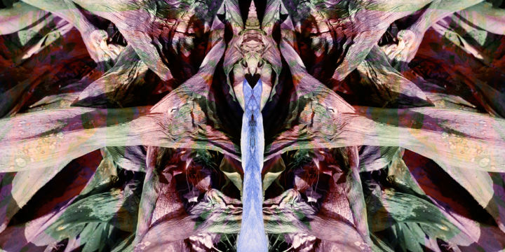 Arts numériques intitulée "Acquaria" par M. Rignol Rogliano, Œuvre d'art originale, Photographie manipulée