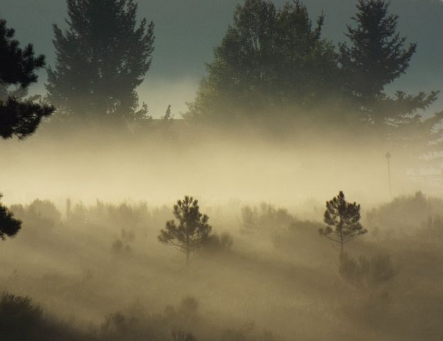 Photography titled "LANDSCAPES XXXIII:…" by Curtis H. Jones, Original Artwork, Digital Photography Mounted on Wood Stretcher…