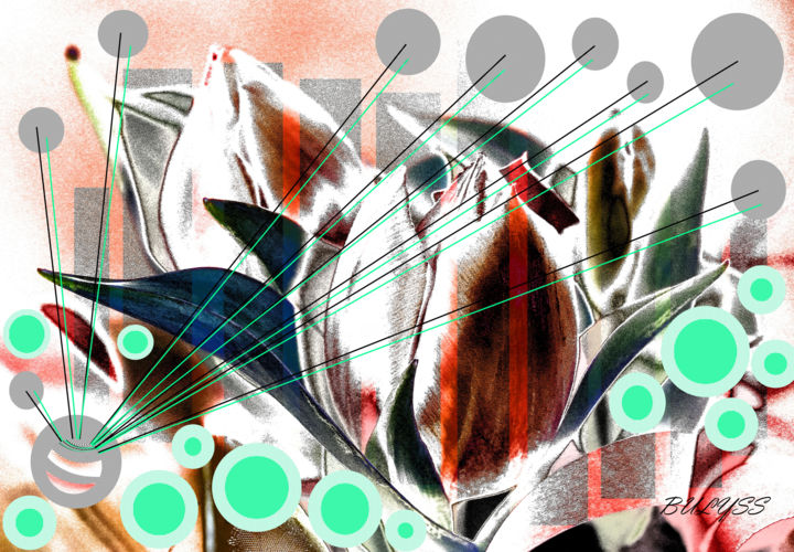 Digital Arts με τίτλο "Tulip in transition" από Marc Bulyss, Αυθεντικά έργα τέχνης, Ψηφιακή ζωγραφική