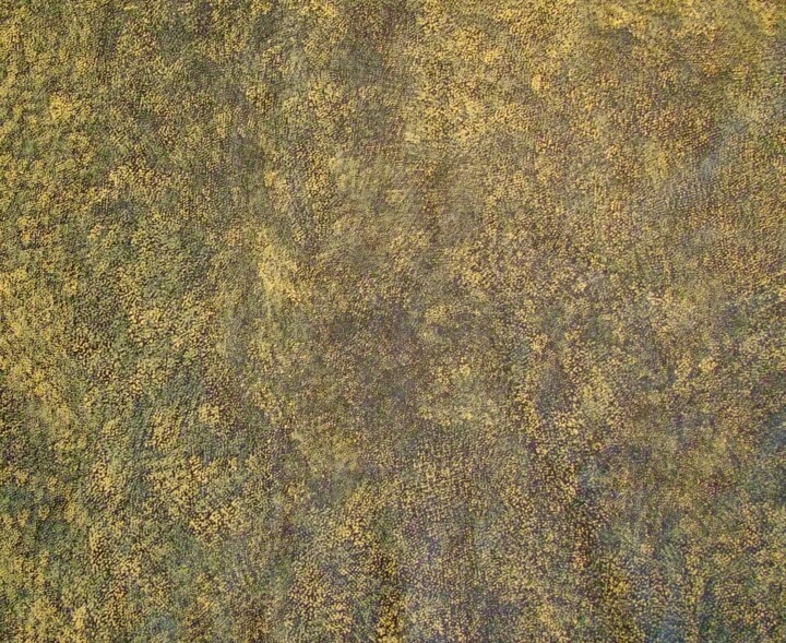其他意见 2