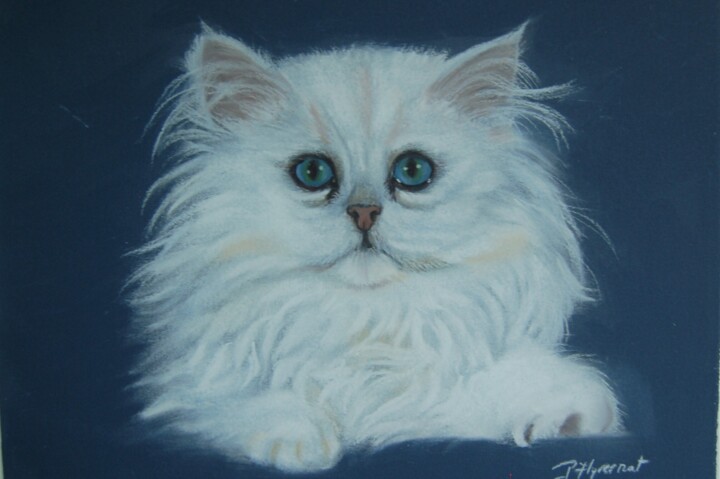"PLUME" chatonne persanne - pastel 图画, 9.5x12.6 in