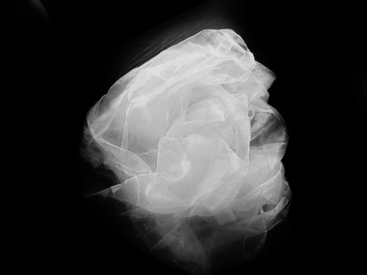 Fotografía titulada "Les Vaporeux Blanc" por Catherine Vasseur, Obra de arte original, Fotografía digital