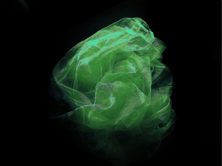 Fotografía titulada "Les Vaporeux Vert" por Catherine Vasseur, Obra de arte original, Fotografía digital