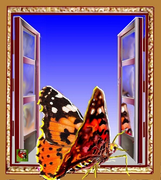 un papillon