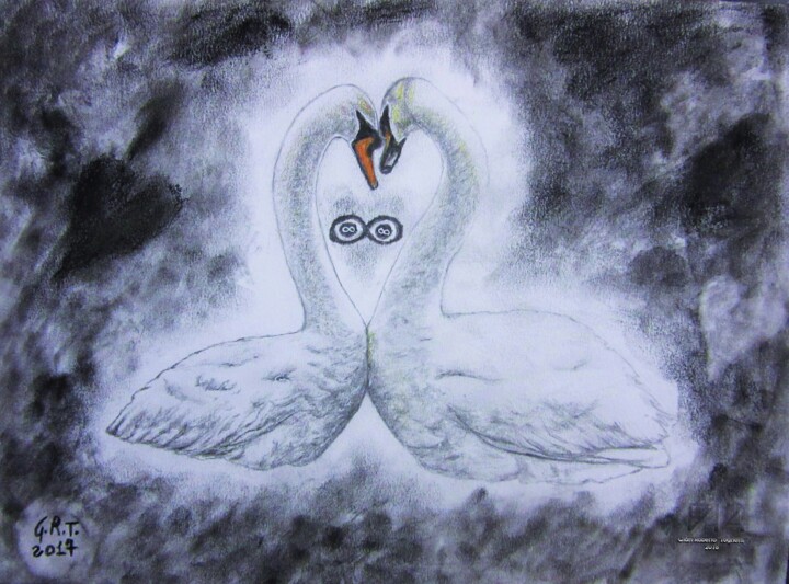 The heart of the swans 图画, 9.5x13 in