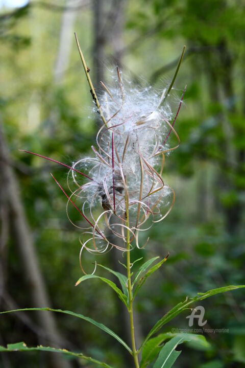 Photographie intitulée "Embrun" par Martine Maury, Œuvre d'art originale, Photographie non manipulée