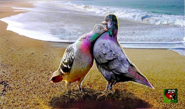 tendresse animale