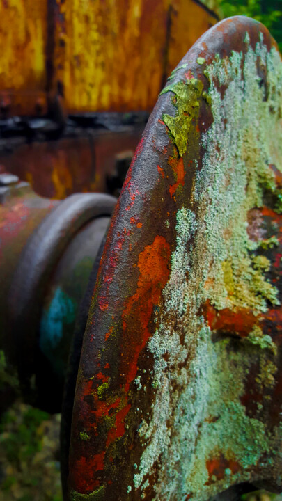 Rouille III 摄影
