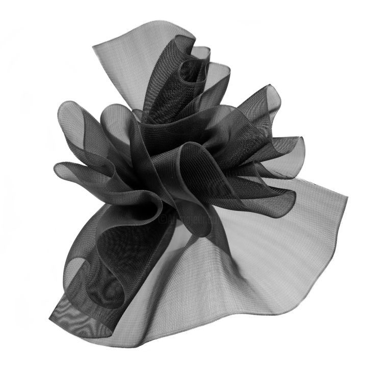 Black bow 摄影