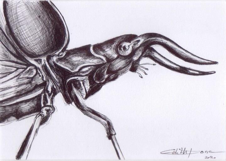 Lucanus Cervus 2 图画, 5.5x7.9 in