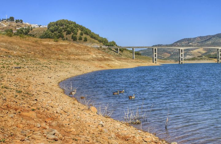 Photography titled "Pantano con patos" by Lady Vilx, Original Artwork, Digital Photography
