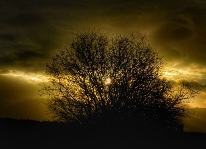Photography titled "En toda oscuridad h…" by Lady Vilx, Original Artwork, Digital Photography
